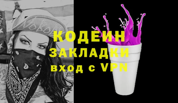 молекула духа Щигры
