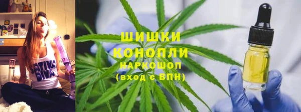 спайс Арсеньев