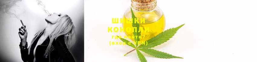 гидра Алексеевка